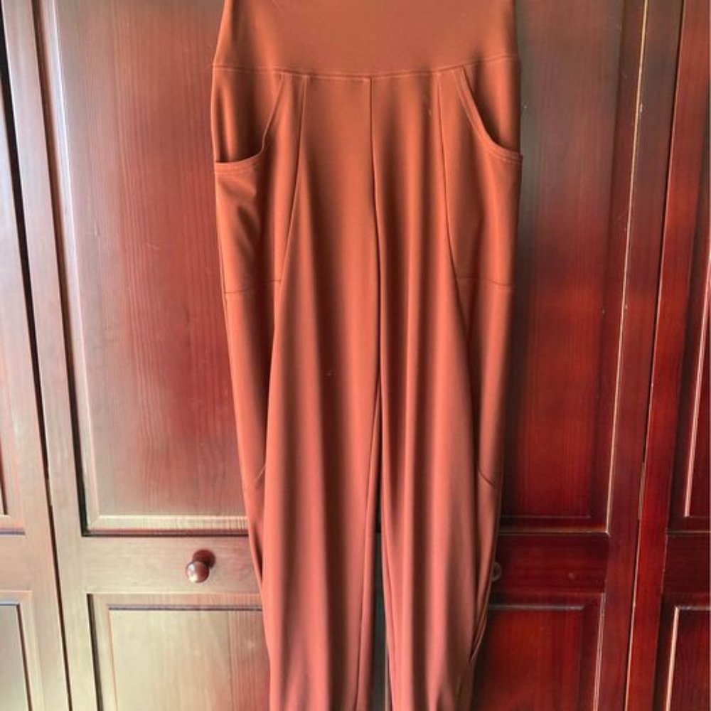 Simpli Rust Colored Tapered Pants NWT